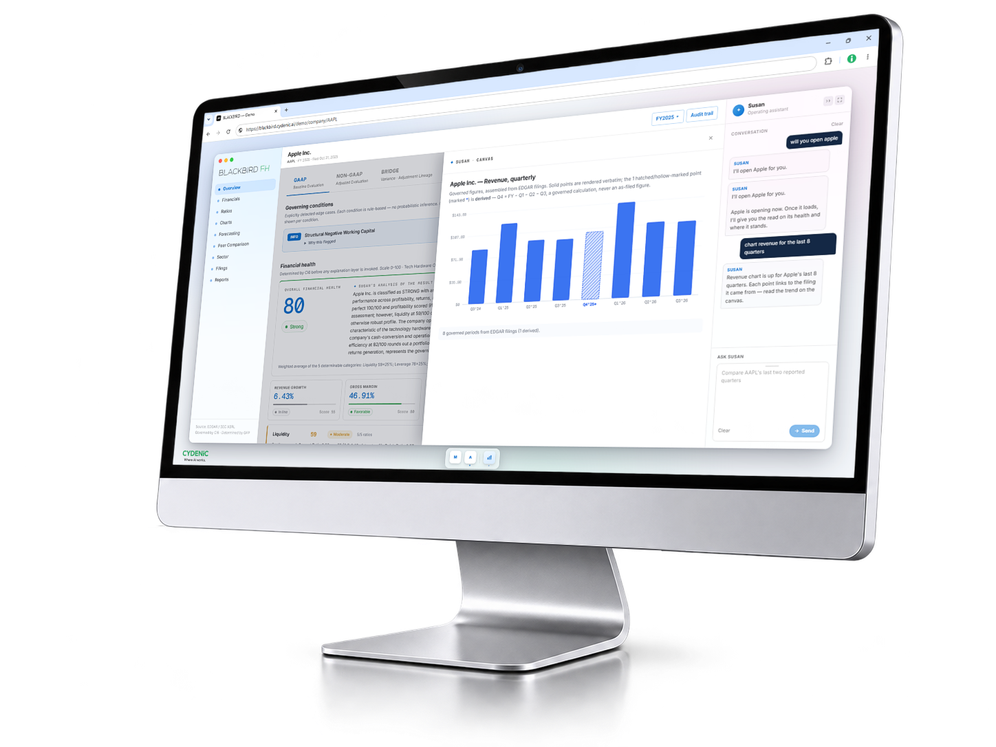 BLACKBIRD FH financial-health dashboard